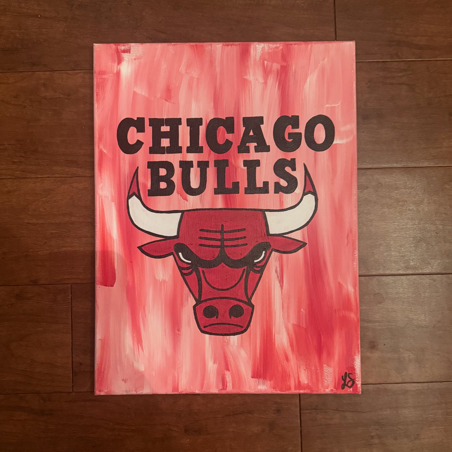 Chicago Bulls Logo Canvas